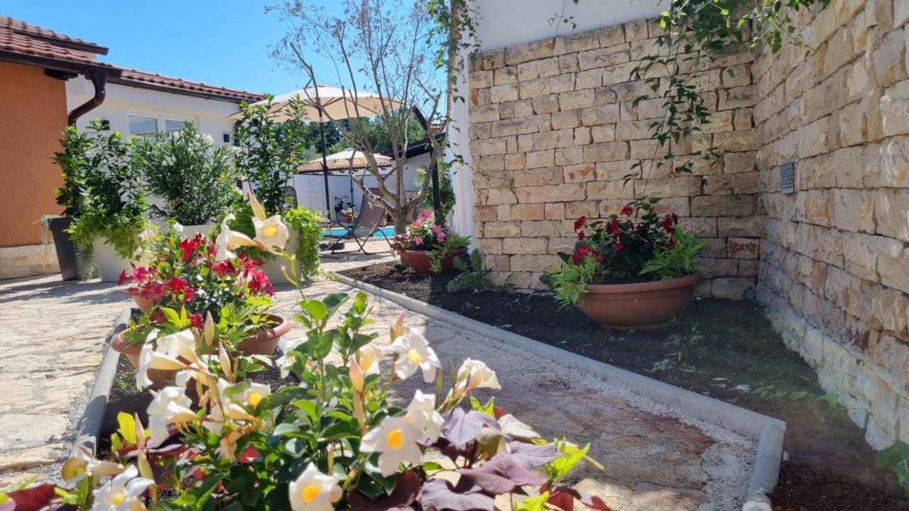 Villa Natka Rovinjsko Selo Εξωτερικό φωτογραφία